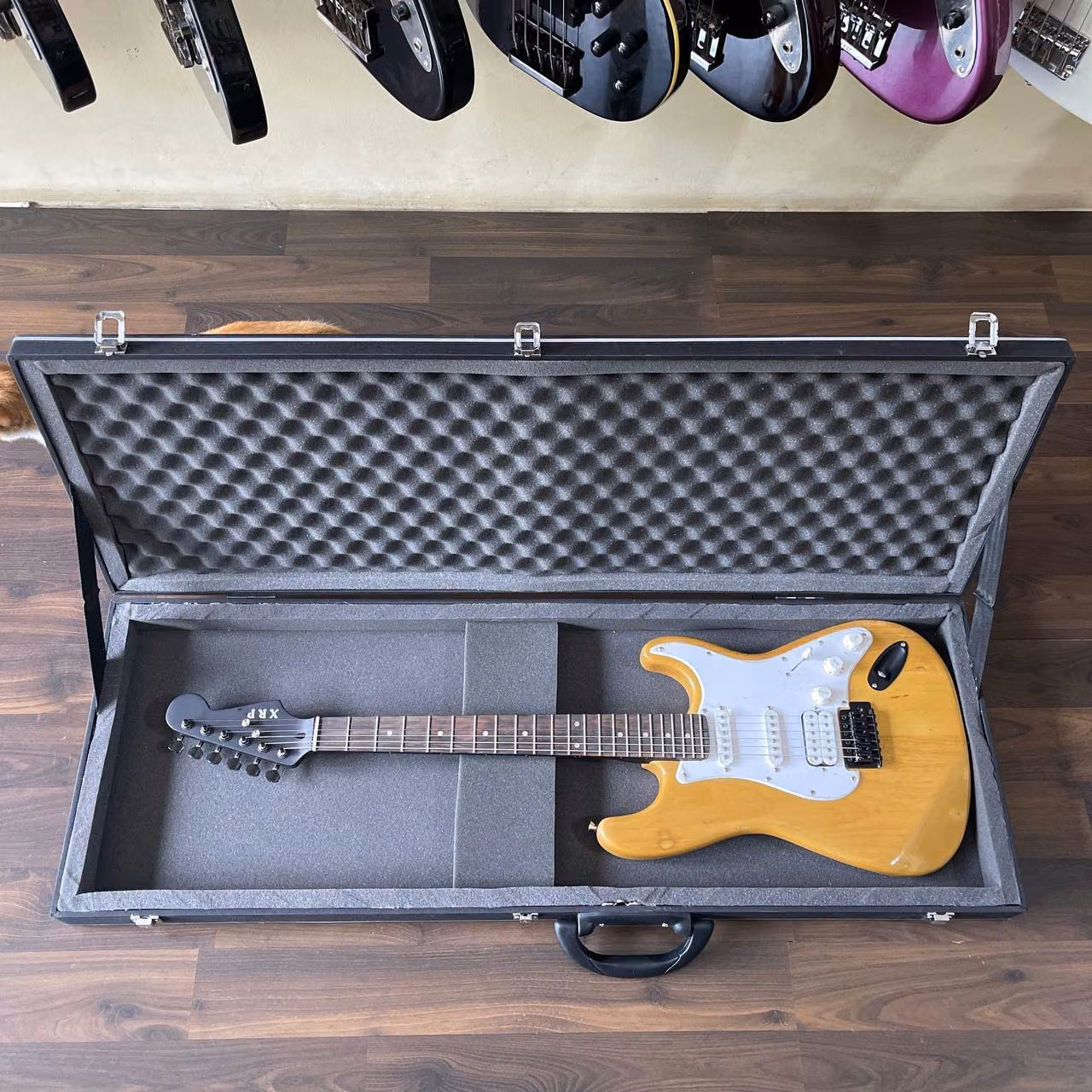 Hardcase Elektrik — Strat / Superstrat